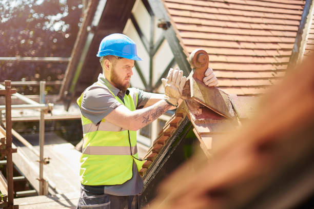 Best Residential Roof Replacement  in Renville, MN